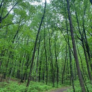 Meet your Posher, Celia